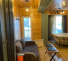 Cosy Apartments in Bakuriani